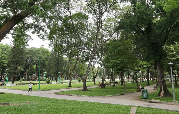Dịch vụ dọn vườn tại Củ Chi