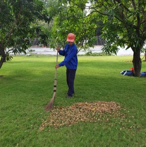 dọn vườn tại Tân Bình