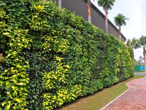 Thi công sân vườn tại Kiến Tường