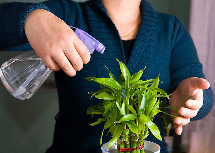 Thiết kế thi công cảnh quan sân vườn tại Tân Trụ