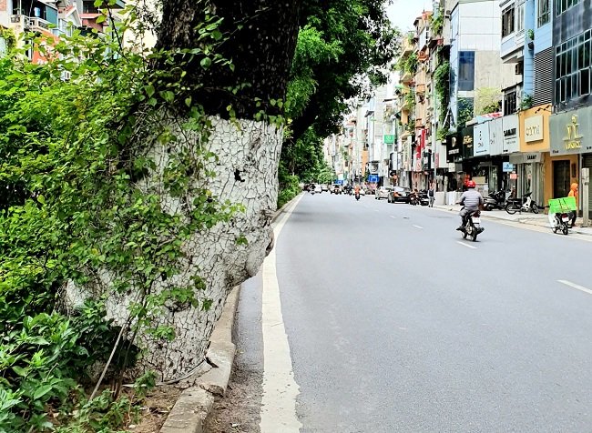 thi công cảnh quan sân vườn tại Châu Thành