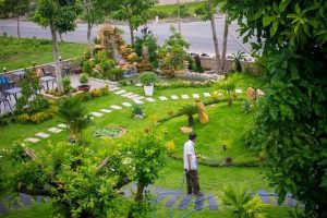 Thiết kế thi công tiểu cảnh sân vườn tại Cần Giuộc