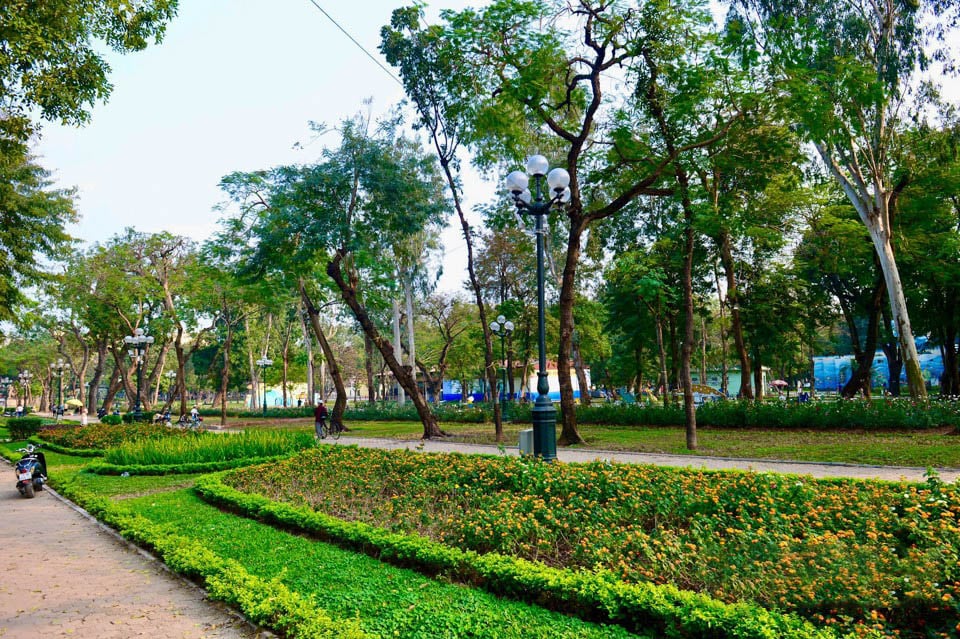 Thi công cảnh quan tại Đức Huệ