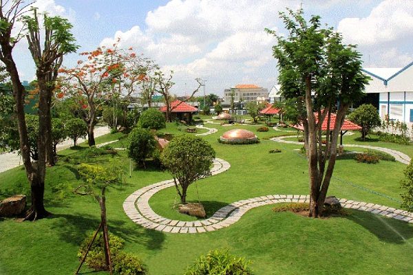 4 Lưu ý tưới nước khi trồng cây ngoài trời