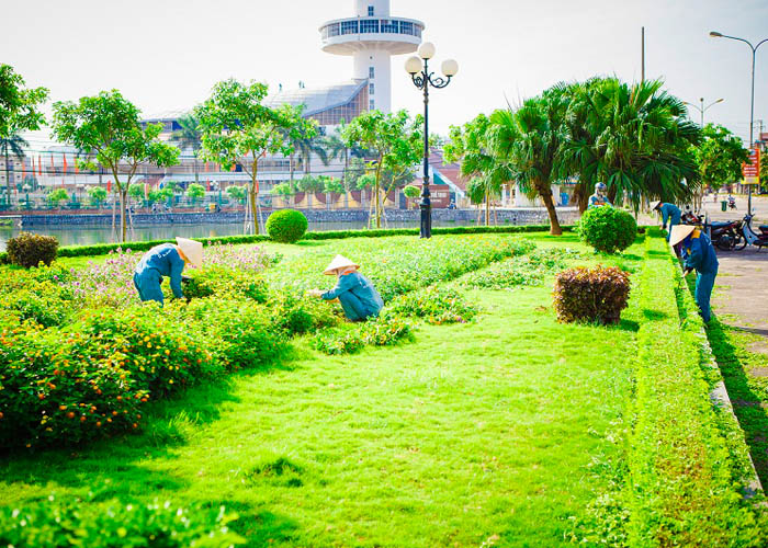 Cho thuê cây xanh văn phòng tại Quận 4 Thành phố Hồ Chí Minh