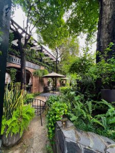 Top 5 đơn vị cho thuê cây cảnh văn phòng giá rẻ tại TPHCM