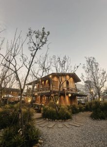 Cho thuê cây xanh văn phòng tại Quận 5 giá rẻ