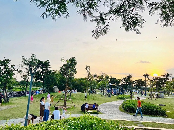 Dịch vụ cho thuê cây xanh văn phòng tại Quận 3 uy tín