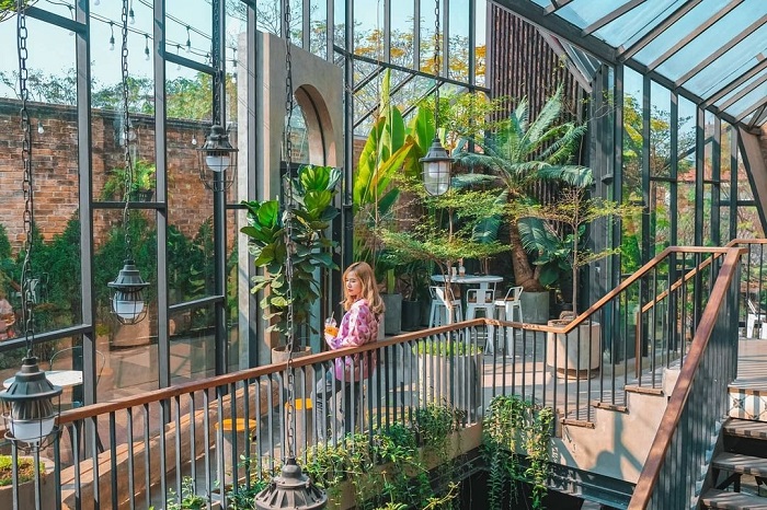 Dịch vụ cho thuê cây xanh văn phòng tại Quận 6 chất lượng