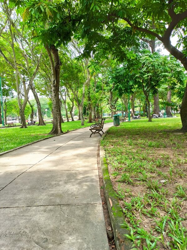 Top 10 loại cây trồng trong nhà đẹp và dễ chăm sóc từ Lộc Nguyên Xanh