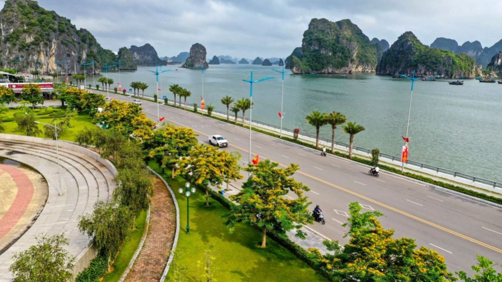 4 Loại bệnh thường gặp ở cây trồng ngoài trời