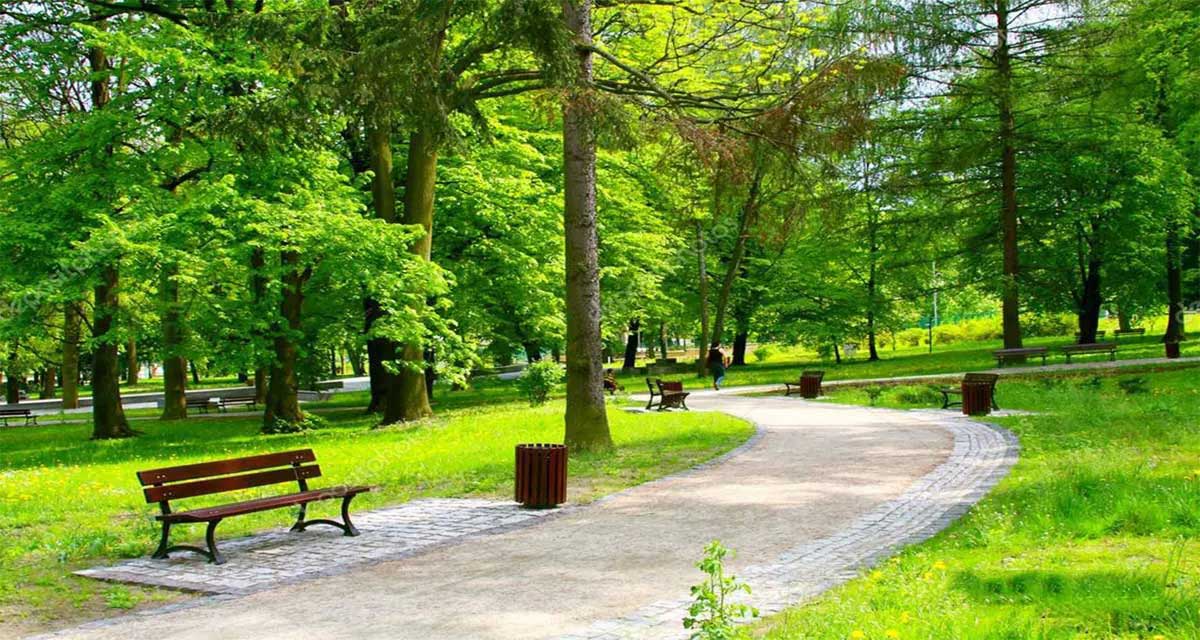 5 Cách phòng ngừa bệnh hiệu quả cho cây trồng ngoài trời