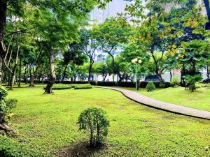 7 Mẹo Duy Trì Và Chăm Sóc Cây Cảnh Ngoài Trời Lâu Dài