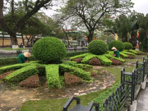 cắt tỉa cây trồng ngoài trời