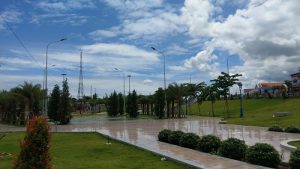 Hướng Dẫn Cắt Tỉa Cây Xanh Tại Nhà Đơn Giản