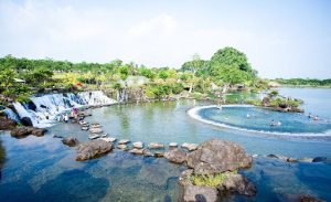 Khi Nào Nên Cắt Tỉa Cây Xanh Để Đảm Bảo Cây Phát Triển Tốt?