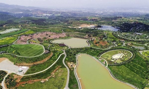 Lợi ích của cây xanh đối với sức khỏe và môi trường sống