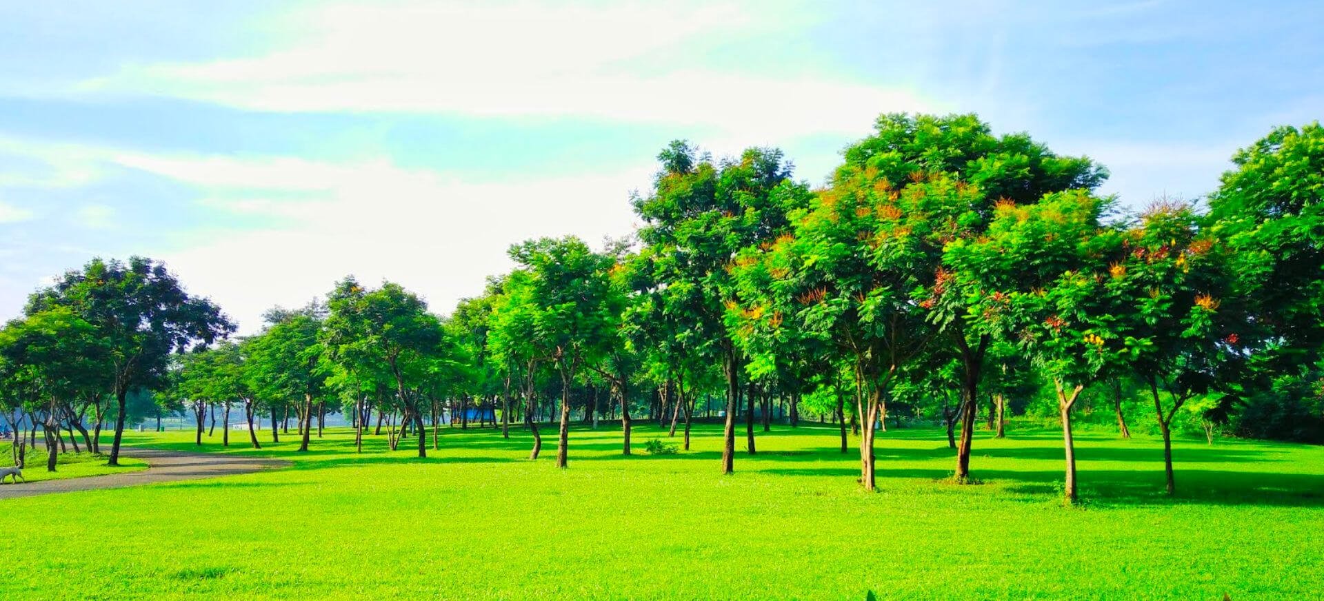 Đơn Vị Thi Công Cảnh Quan