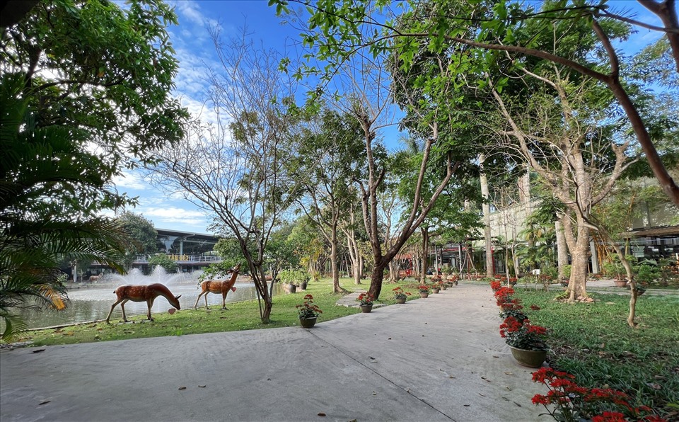Thiết kế thi công sân vườn tại Long An