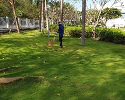 Đơn Vị Cắt Cỏ Tại KCN Đức Hòa