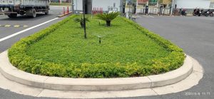 Đơn vị thi công cảnh quan uy tín tại Long An