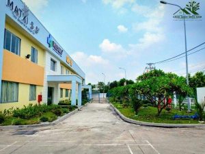 Thi công cảnh quan sân vườn tại Quận 4