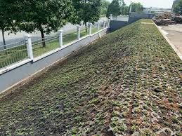 Thi công cảnh quan sân vườn tại Quận 5