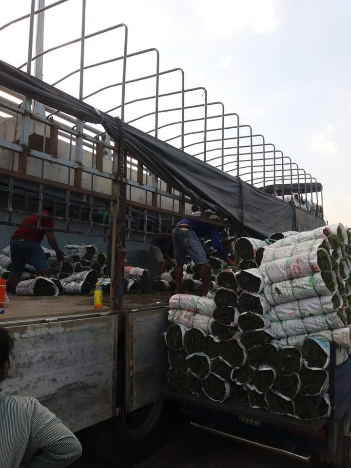 dịch vụ Thi công cảnh quan tại Cần Đước còn mang lại nhiều giá trị thiết thực dịch vụ Thi công cảnh quan tại Cần Đước còn mang lại nhiều giá trị thiết thực