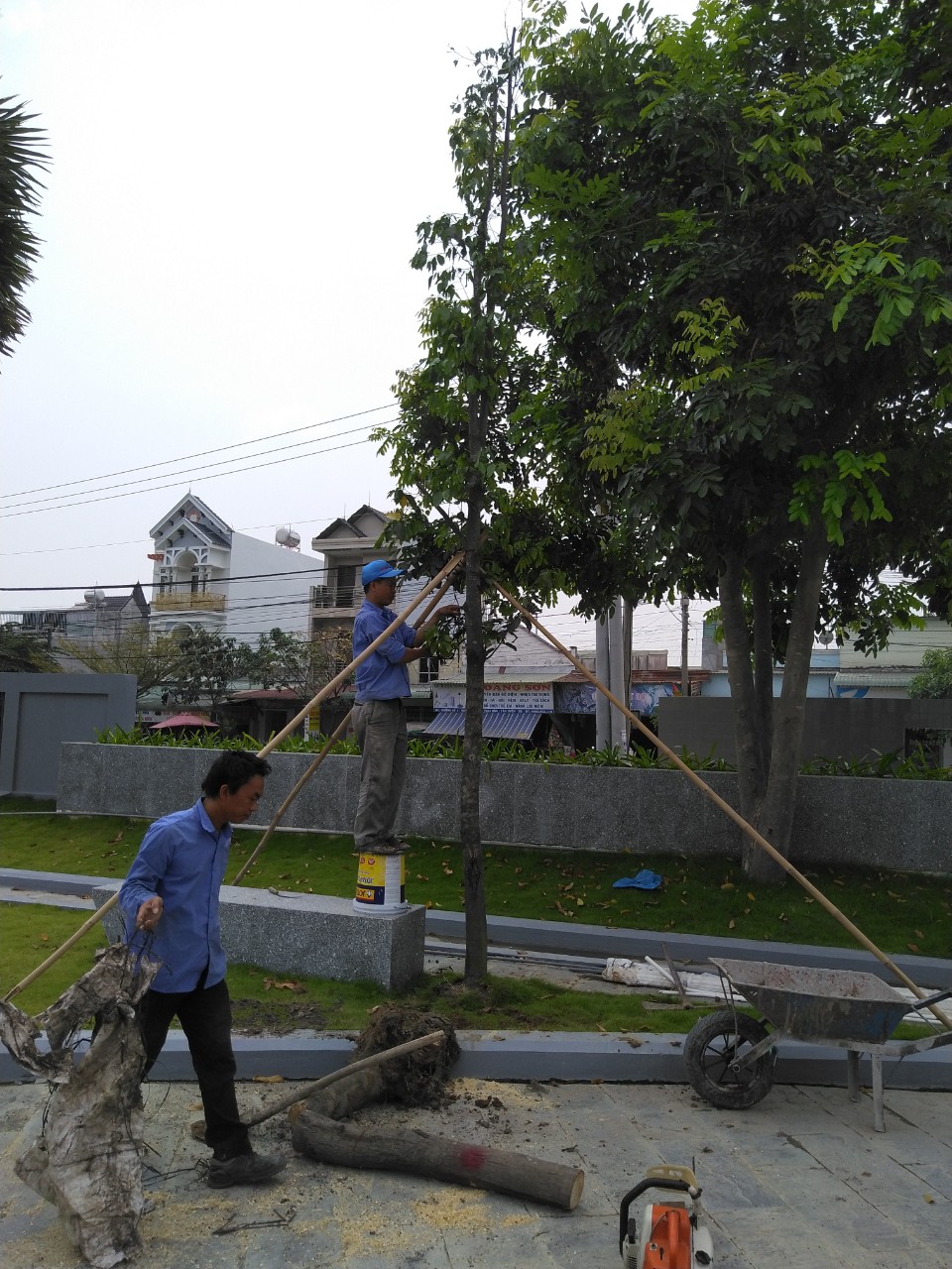 Lộc Nguyên Xanh là một trong những cái tên nổi bật khi nhắc đến dịch vụ Thi công cảnh quan tại Cần Đước. Lộc Nguyên Xanh là một trong những cái tên nổi bật khi nhắc đến dịch vụ Thi công cảnh quan tại Cần Đước.