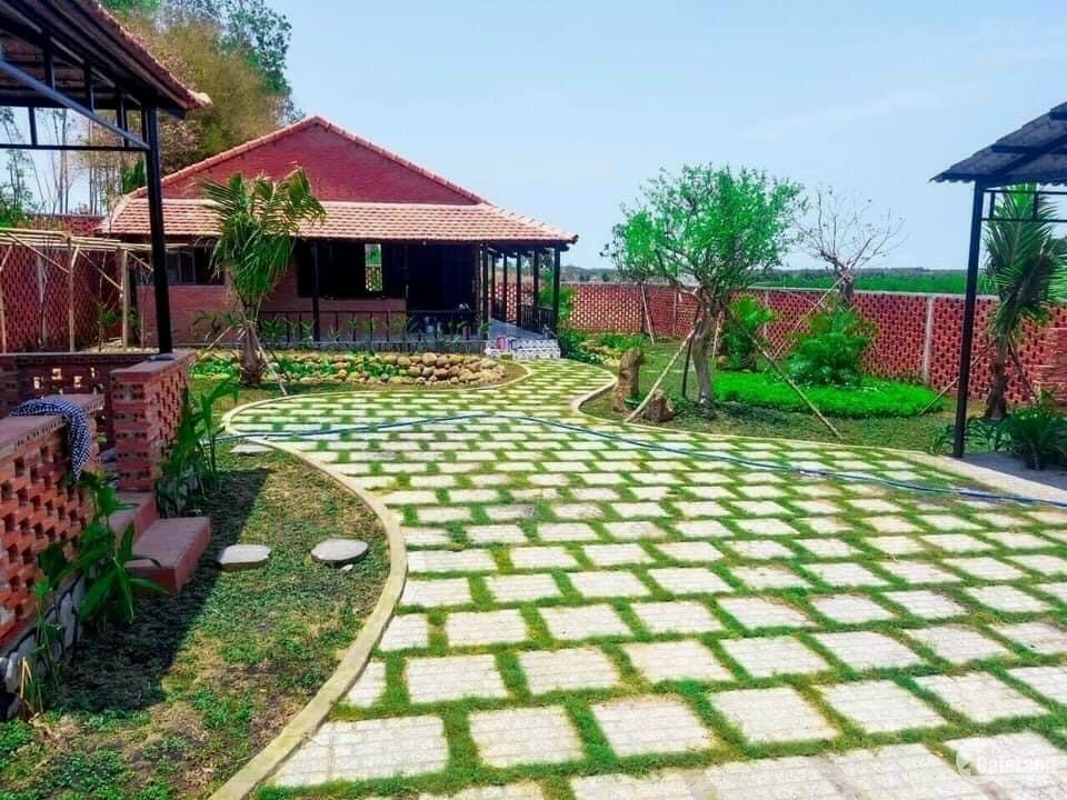 Quy trình thi công cảnh quan sân vườn tại Củ Chi của Lộc Nguyên