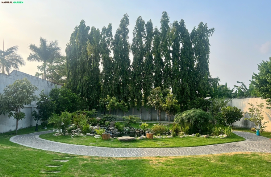 Thi công cảnh quan sân vườn tại Hóc Môn HCM