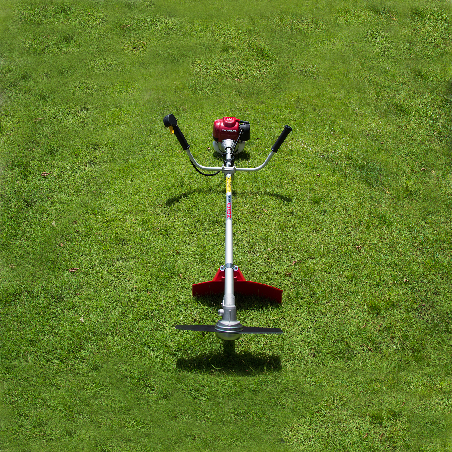 Dịch vụ cắt cỏ sân vườn tại Thủ Đức – Giải pháp duy trì mảng xanh hiệu quả