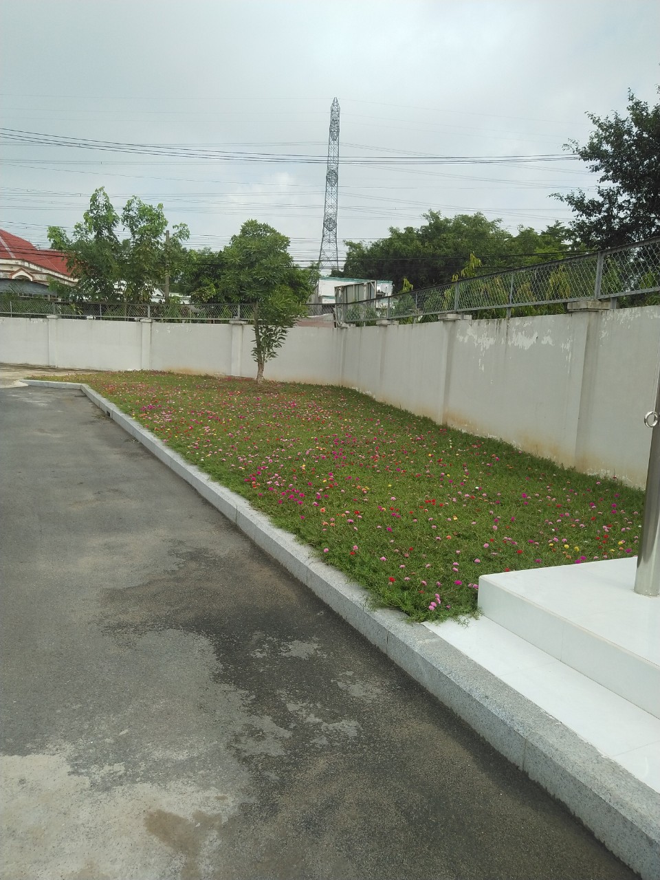 Nhu cầu dịch vụ thi công cảnh quan tại Việt Nam