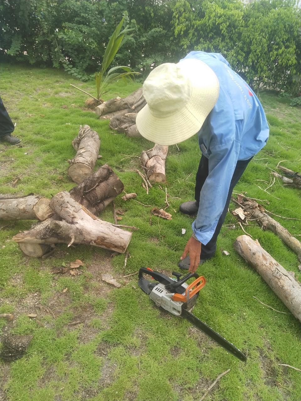 Ưu điểm nổi bật của Lộc Nguyên Xanh