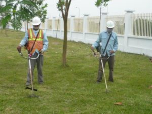 Dọn cỏ chuyên nghiệp tại KCN VSIP Bình Dương – Dịch vụ nhanh, sạch, đúng hẹn
