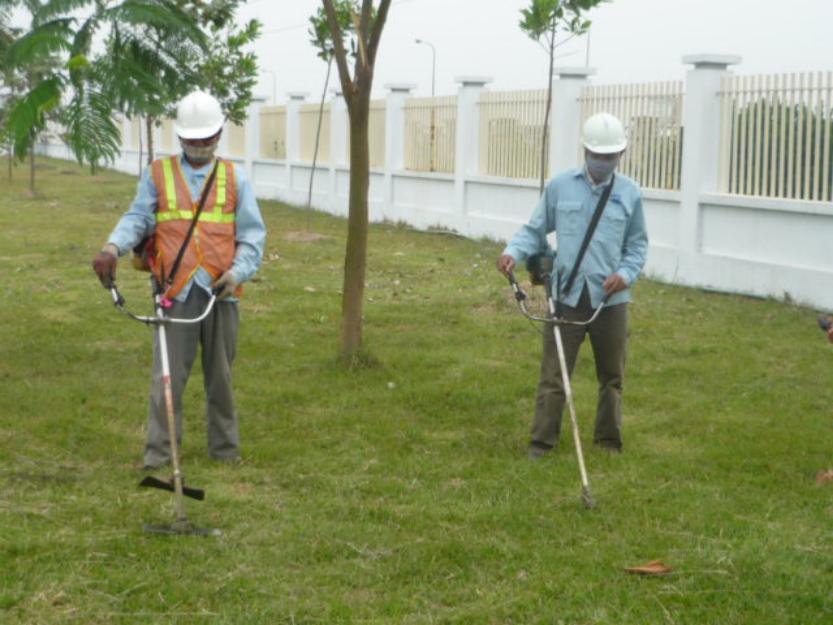Dọn cỏ chuyên nghiệp tại KCN VSIP Bình Dương – Dịch vụ nhanh, sạch, đúng hẹn