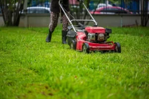 Đơn vị dọn cỏ uy tín tại KCN Đức Hòa – Lộc Nguyên Xanh đồng hành cùng doanh nghiệp