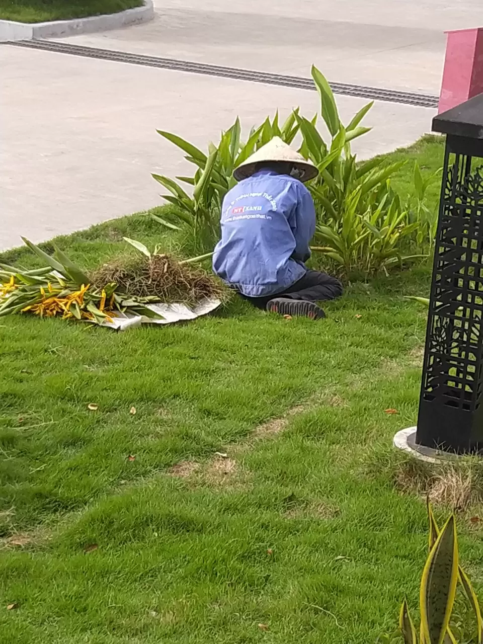 Tầm quan trọng của thi công cảnh quan đối với kiến trúc đô thị