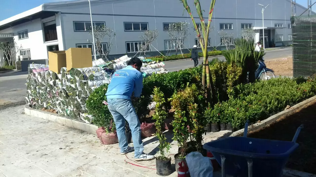 Quy trình chuẩn trong thi công cảnh quan hiện đại