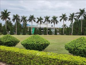 Thi công cảnh quan khu công nghiệp | Giải pháp xanh cho môi trường làm việc