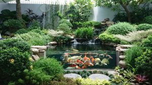 thi công cảnh quan tại thanh hóa