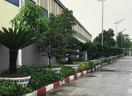 Dịch vụ thi công cảnh quan cây xanh cho biệt thự TPHCM