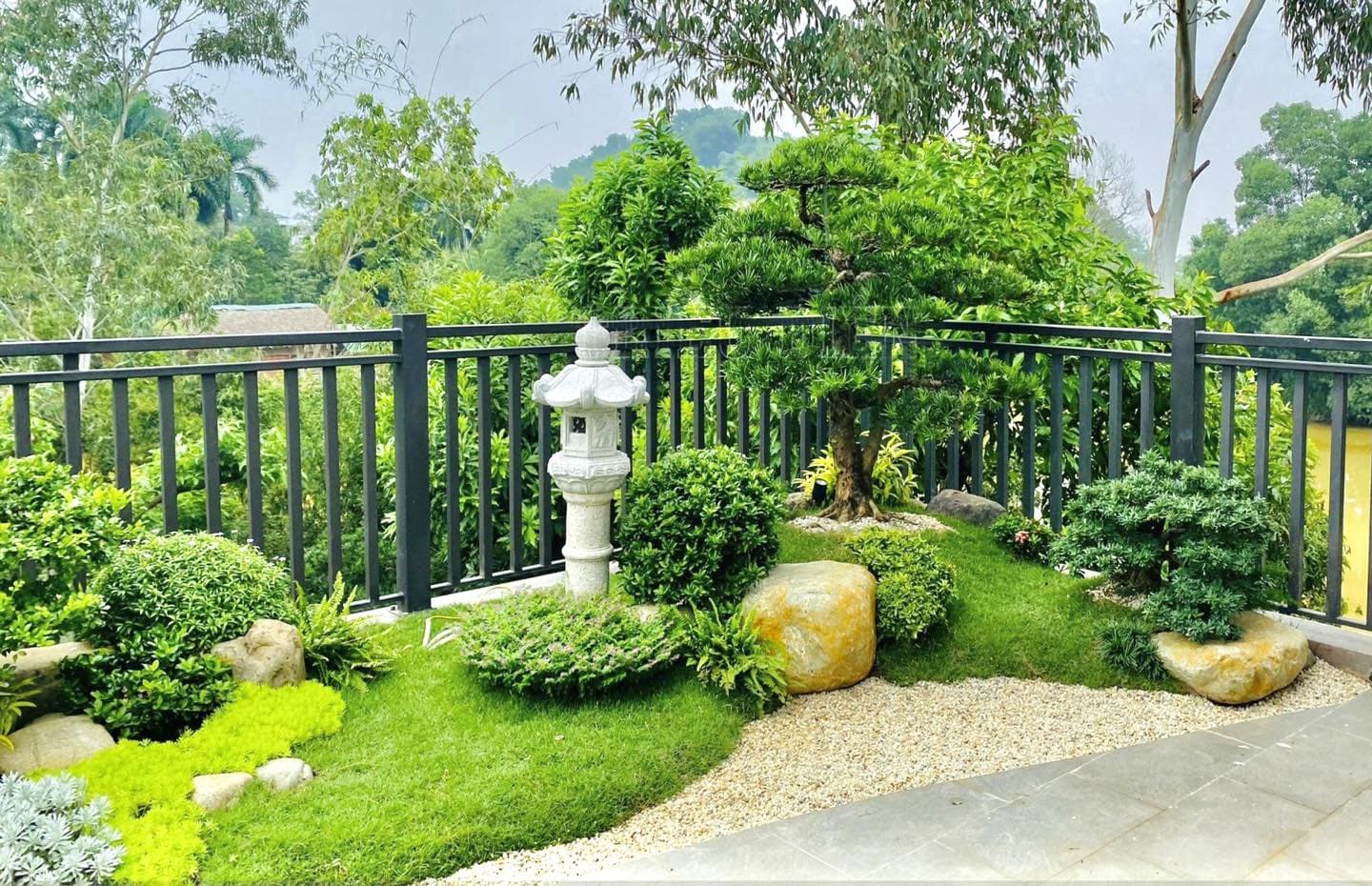 Dịch vụ thi công cây xanh sân vườn