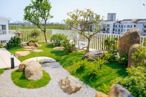 Dịch vụ thi công cây xanh sân vườn Hồ Chí Minh