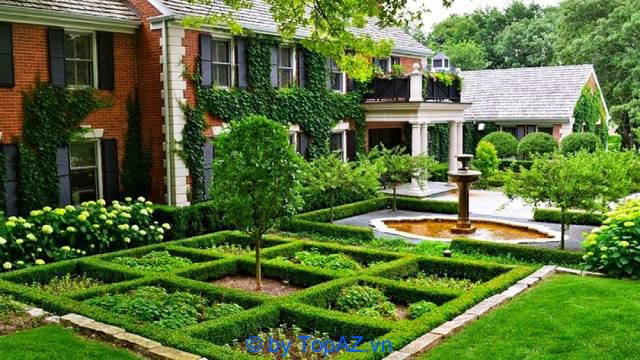 Dịch vụ thi công cây xanh sân vườn Hồ Chí Minh