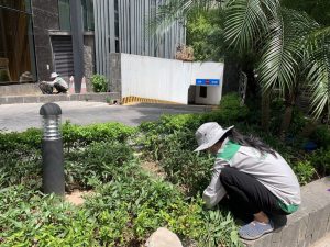 5 Lợi Ích Khi Bảo Trì Cây Xanh Định Kỳ Tại Công Ty, Nhà Máy