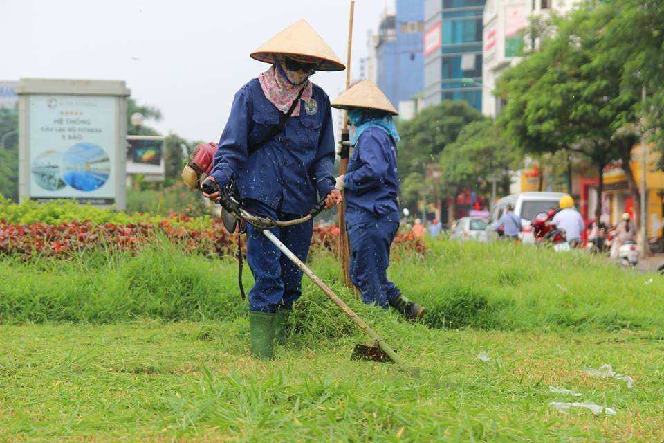 cam kết chất lượng từ Lộc Nguyên Xanh