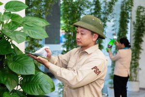 Công ty dịch vụ cảnh quan nào uy tín