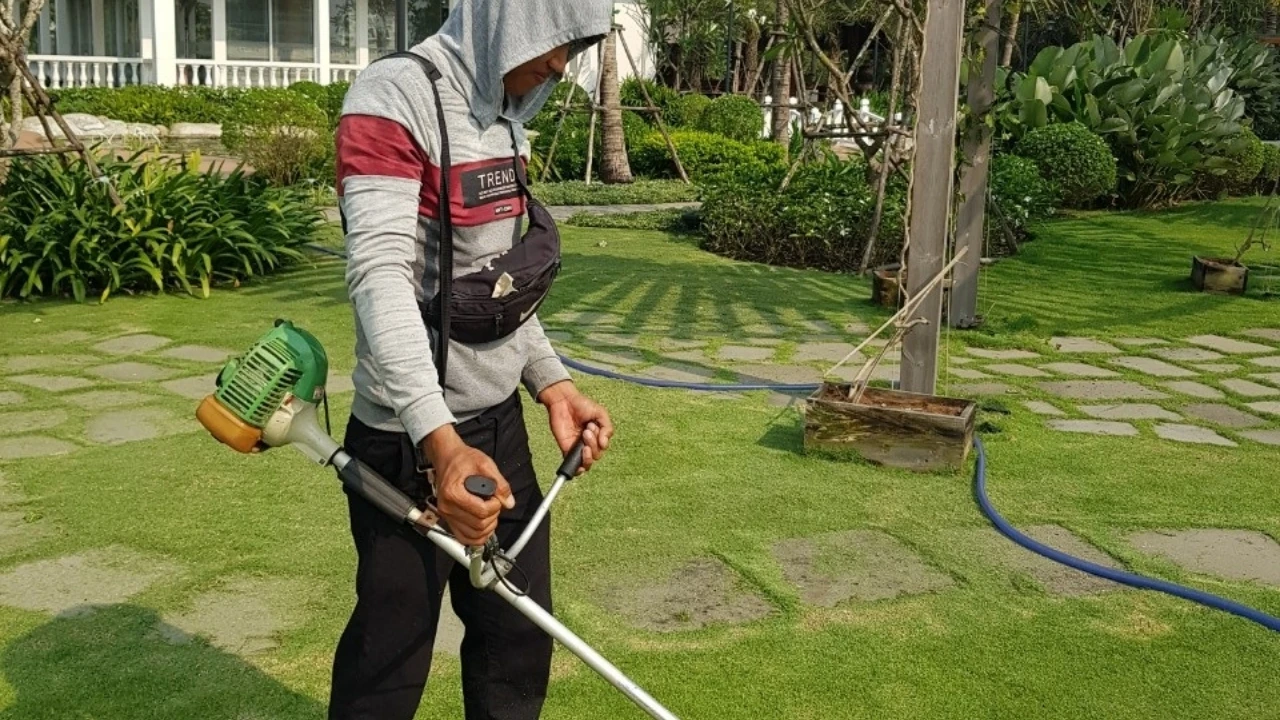 Cắt cỏ, chăm cây tại quận 1