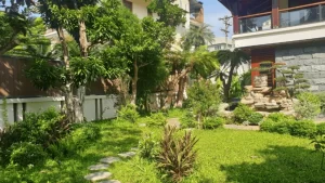 Thi công cảnh quan biệt thự sân vườn hiện đại tại TPHCM